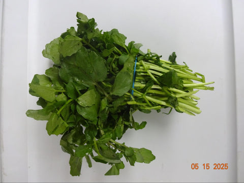 WATERCRESS